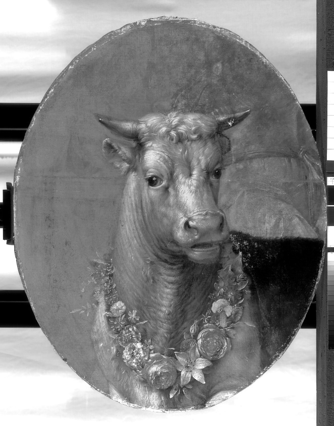 IRR scan of the painting